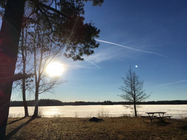 We are back from the Christmas holidays