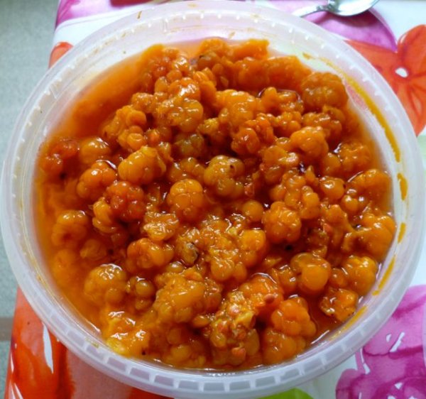 Moltebeerzeit in Schweden