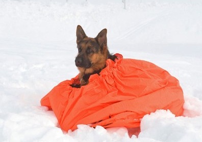 Kamouflage Jervenduken för Hund stor Rescue