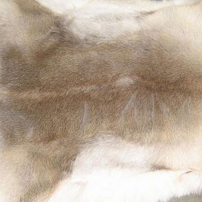 Fur of reindeer first choice first choice - Silicone-coated