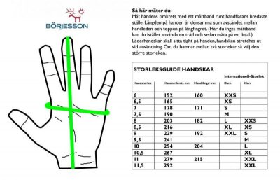 Börjesson Boden Herrenhandschuh aus Ziegenleder